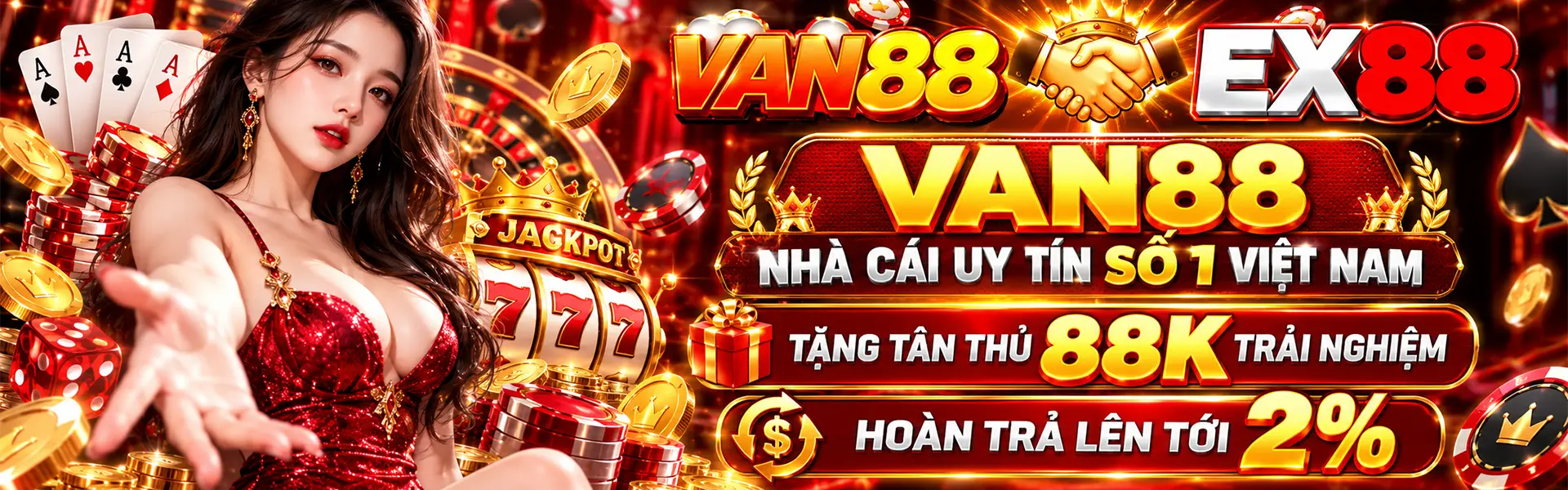 banner van88